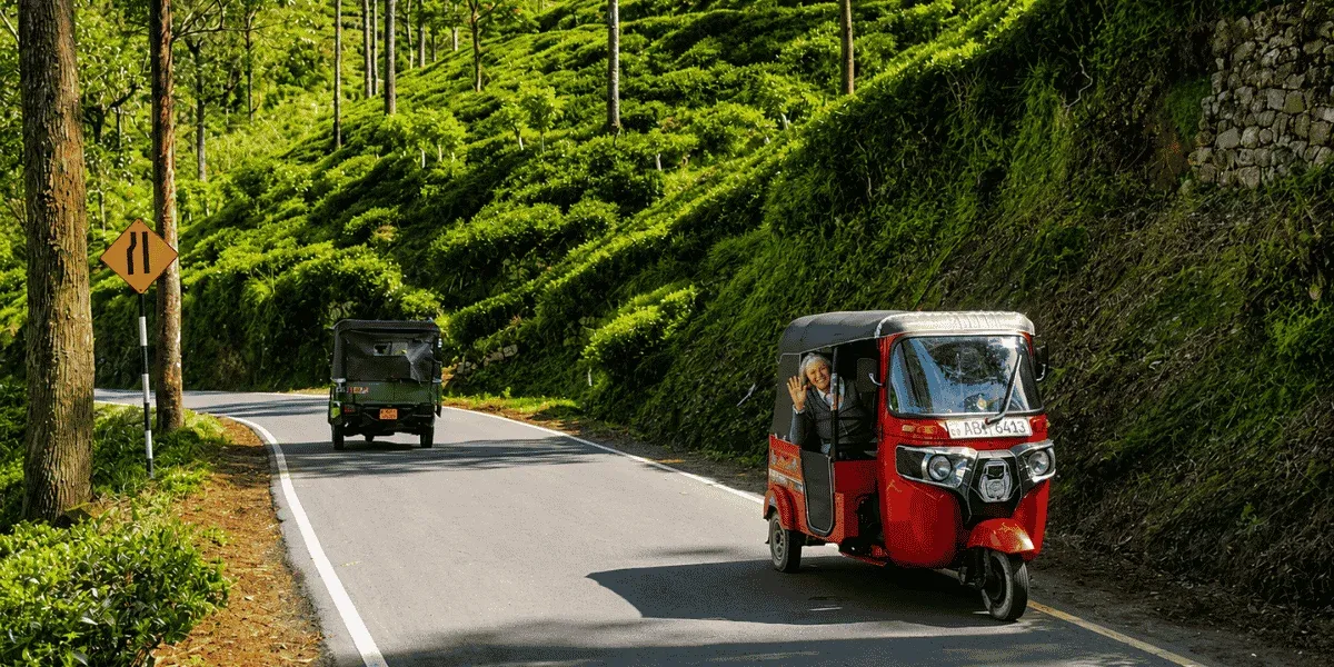 Ella & Bandarawela — Sri Lanka's Mountain Escape of Tea Trails, Waterfalls & Cloud Forest Roads